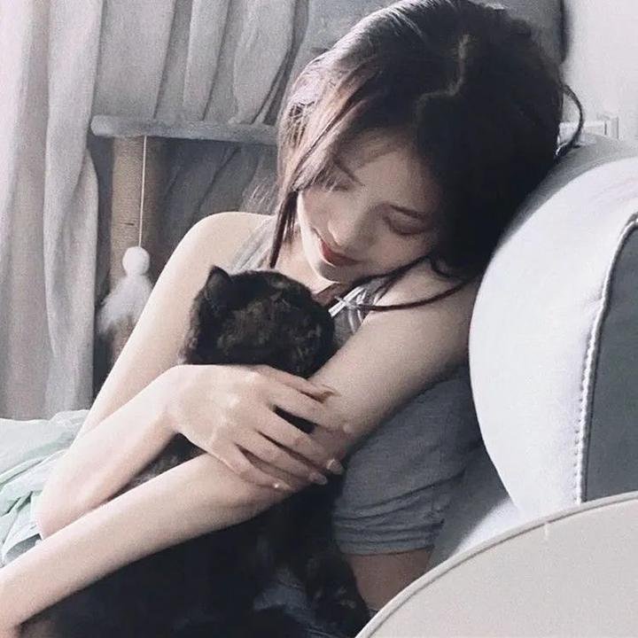 超速 在线观看